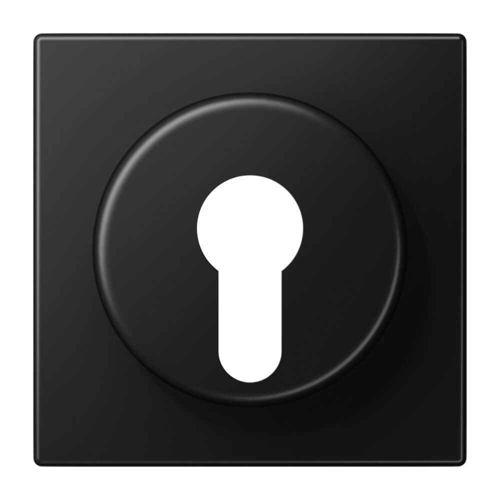 Jung Abdeckung f. Schlüsselschalter LS928SWM