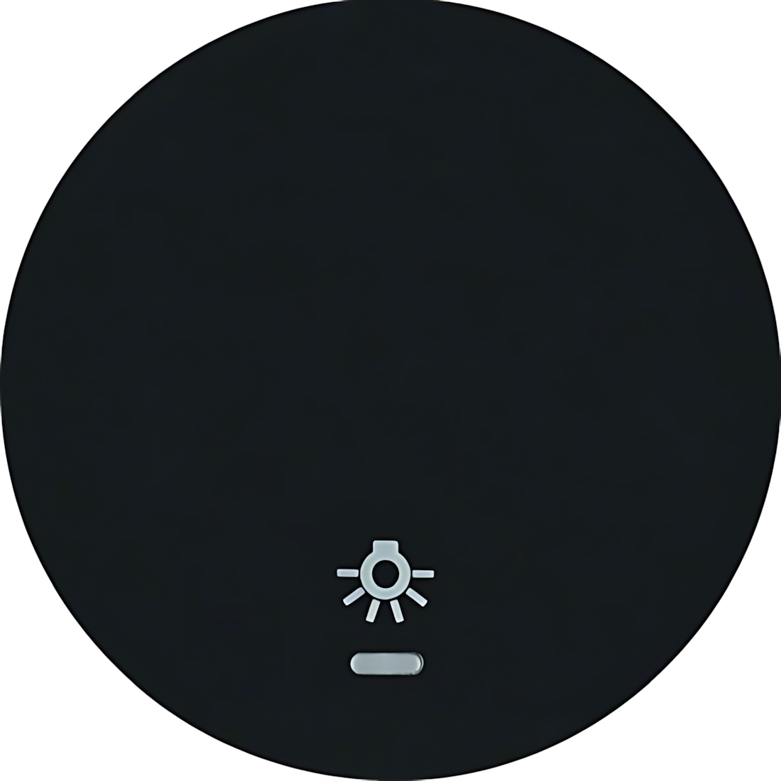 Berker Wippe 16212035 