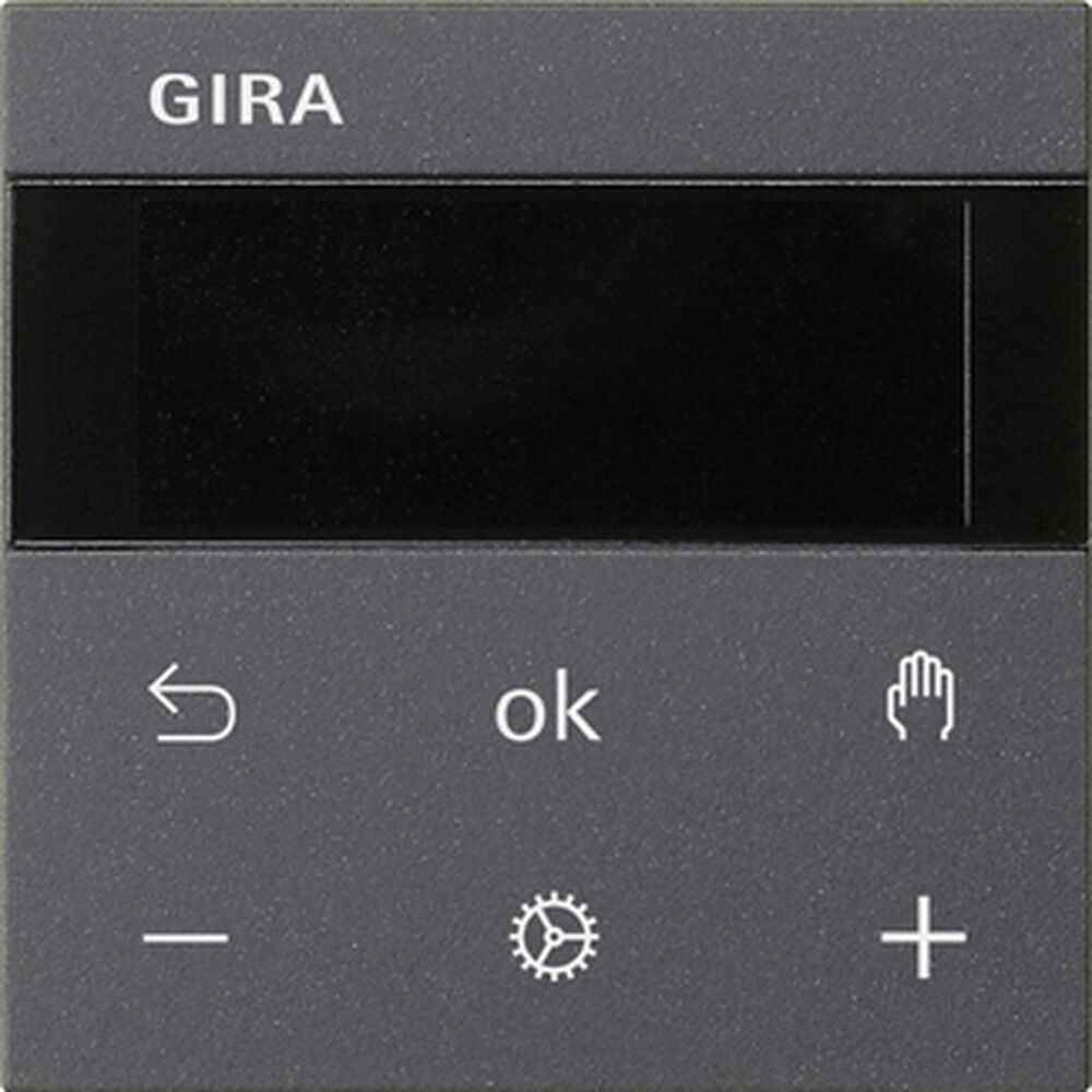 Gira Raumtemperaturregler Display 539328