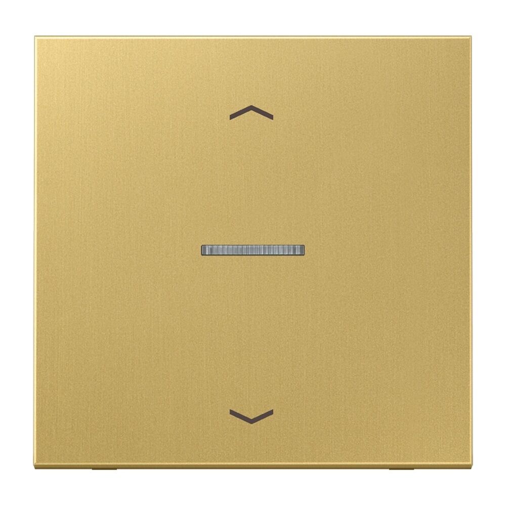 Jung JUNG HOME Taster BTME17101PC 