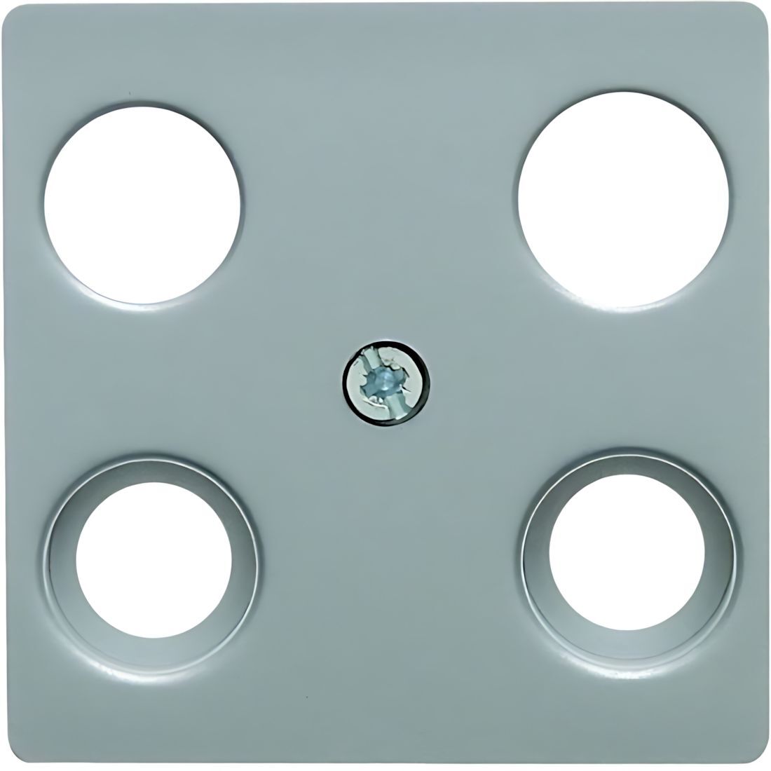 Berker Zentralplatte 14831404