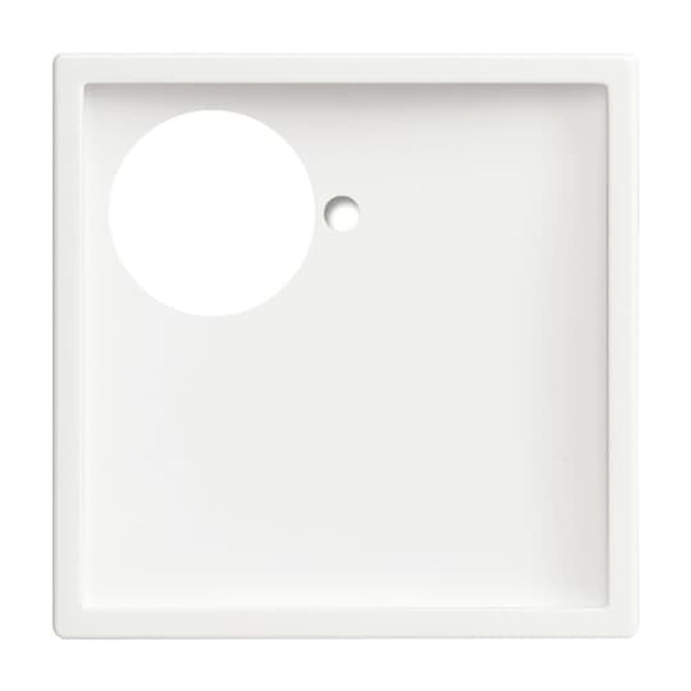 Busch-Jaeger Zentralscheibe 1790-591-84 Nr. 2CKA001710A4112