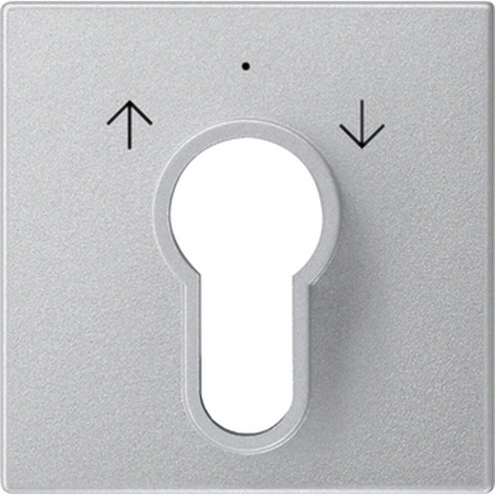 Gira Abdeckung Schlüsselschalter 066426