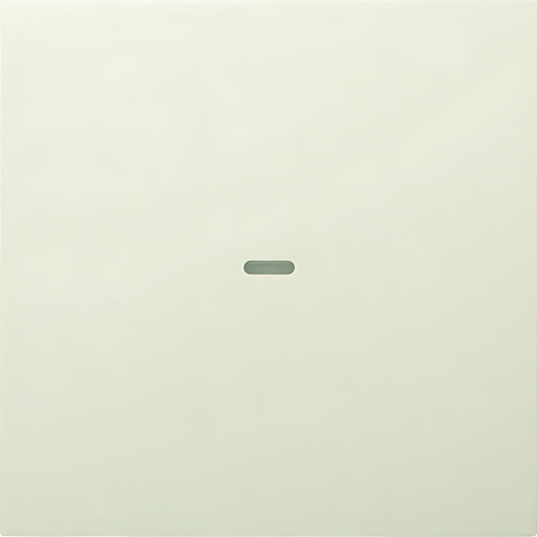 Berker Abdeckung 80960282