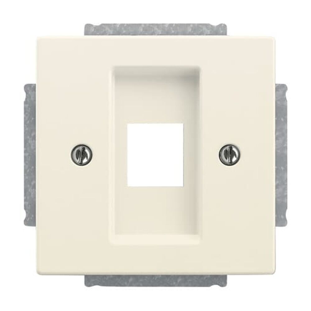 Busch-Jaeger Zentralscheibe 2561-82 Nr. 2CKA001753A0401