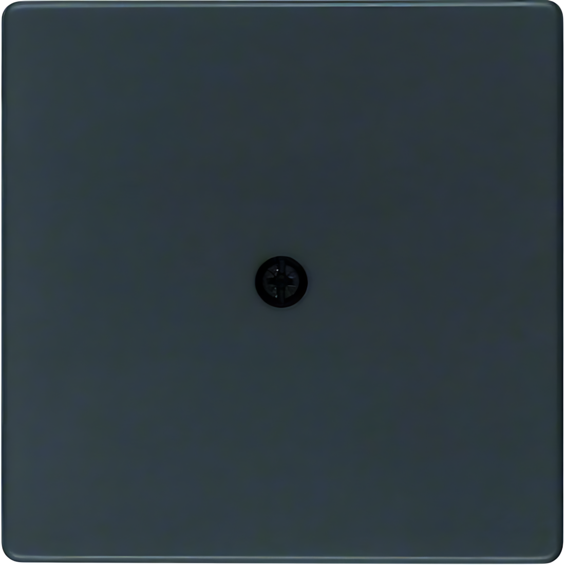 Berker Zentralstück 10196086 