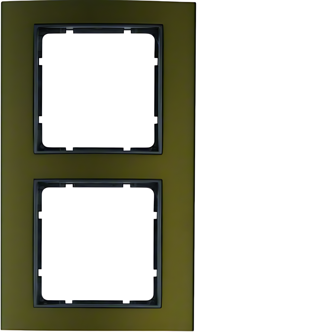 Berker 2fach Rahmen 10123001 