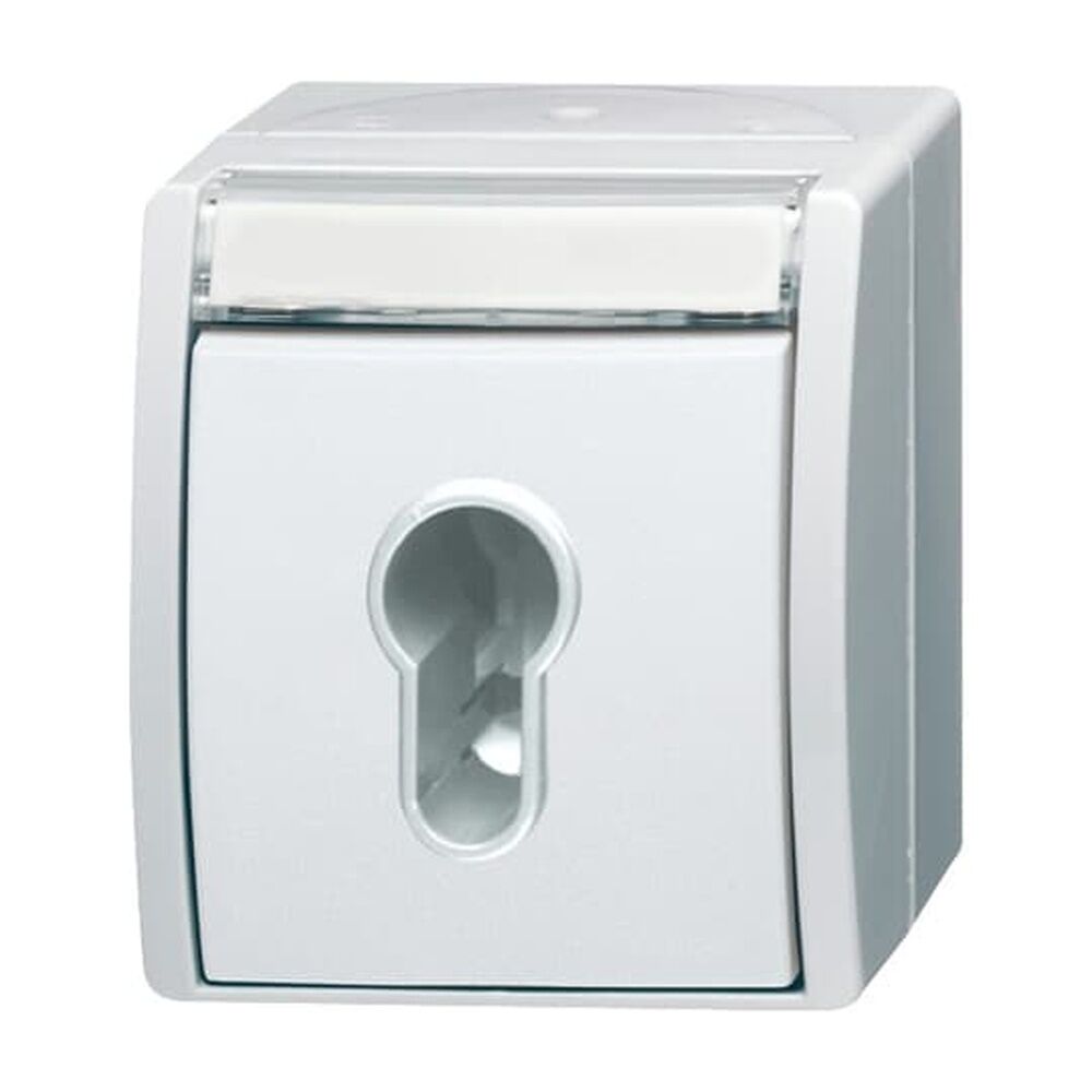 Busch-Jaeger Schlüsselschalter 2733 SLW-54 Nr. 2CKA001101A0925