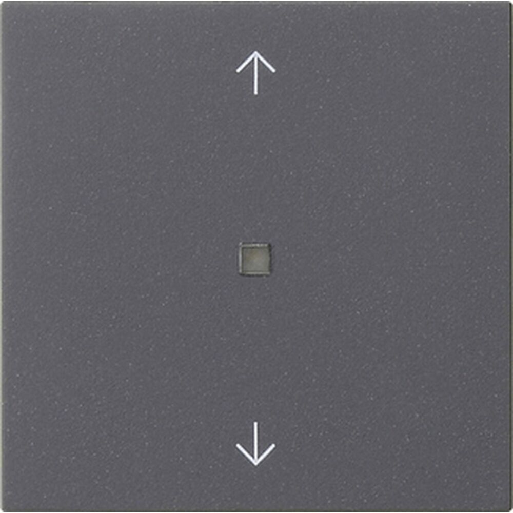 Gira Bedienaufsatz BT 538228