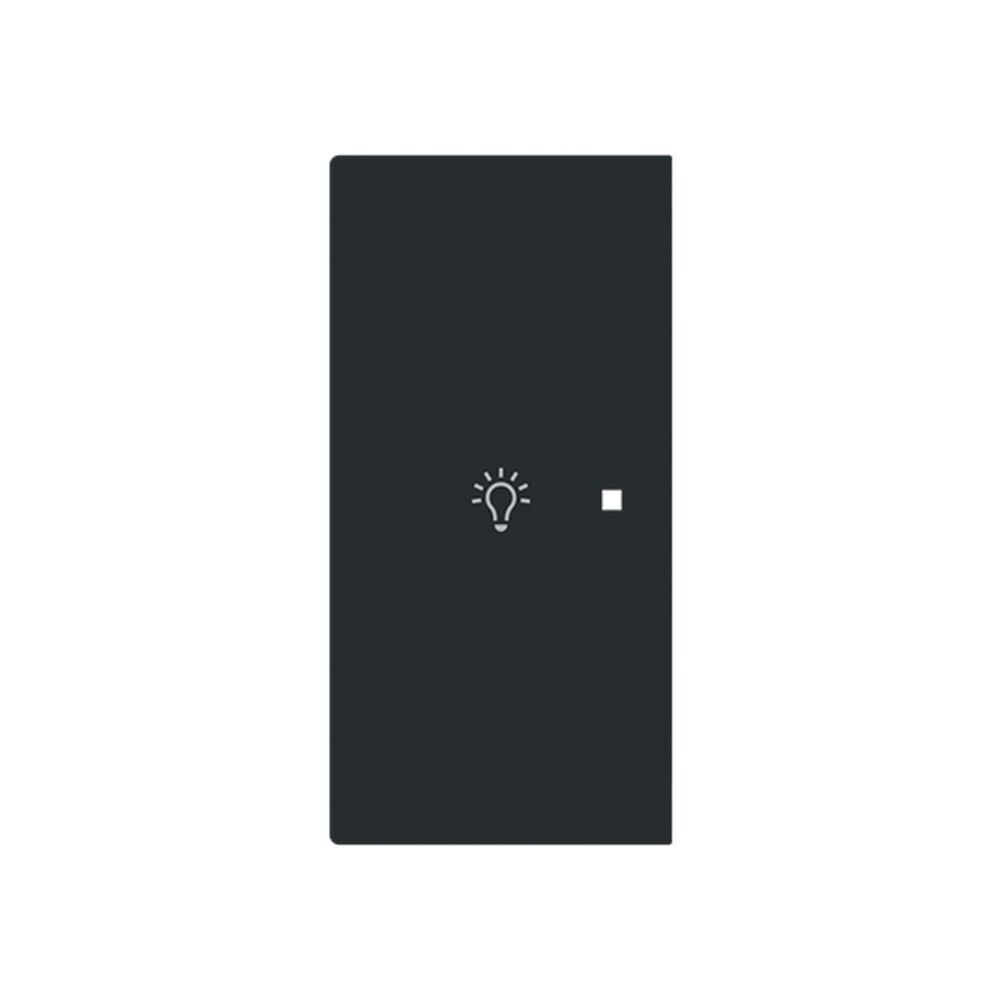 Busch-Jaeger Wippe 6231-21-45M Typ 2CKA006220A0951 