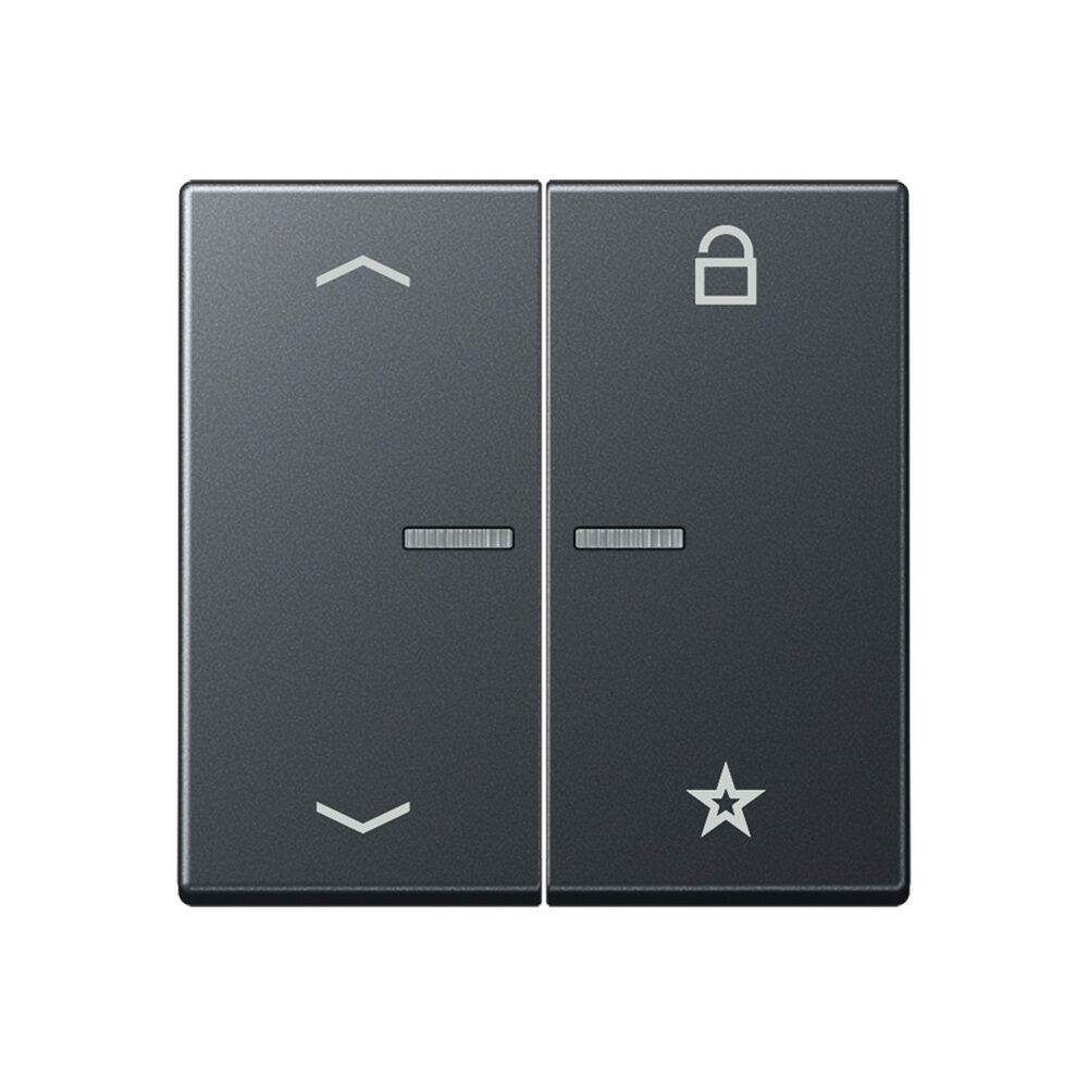 Jung eNet Funk Steuertaste FMA1701BFPANM