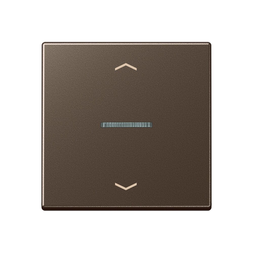 Jung JUNG HOME Taster BTA17101PMO