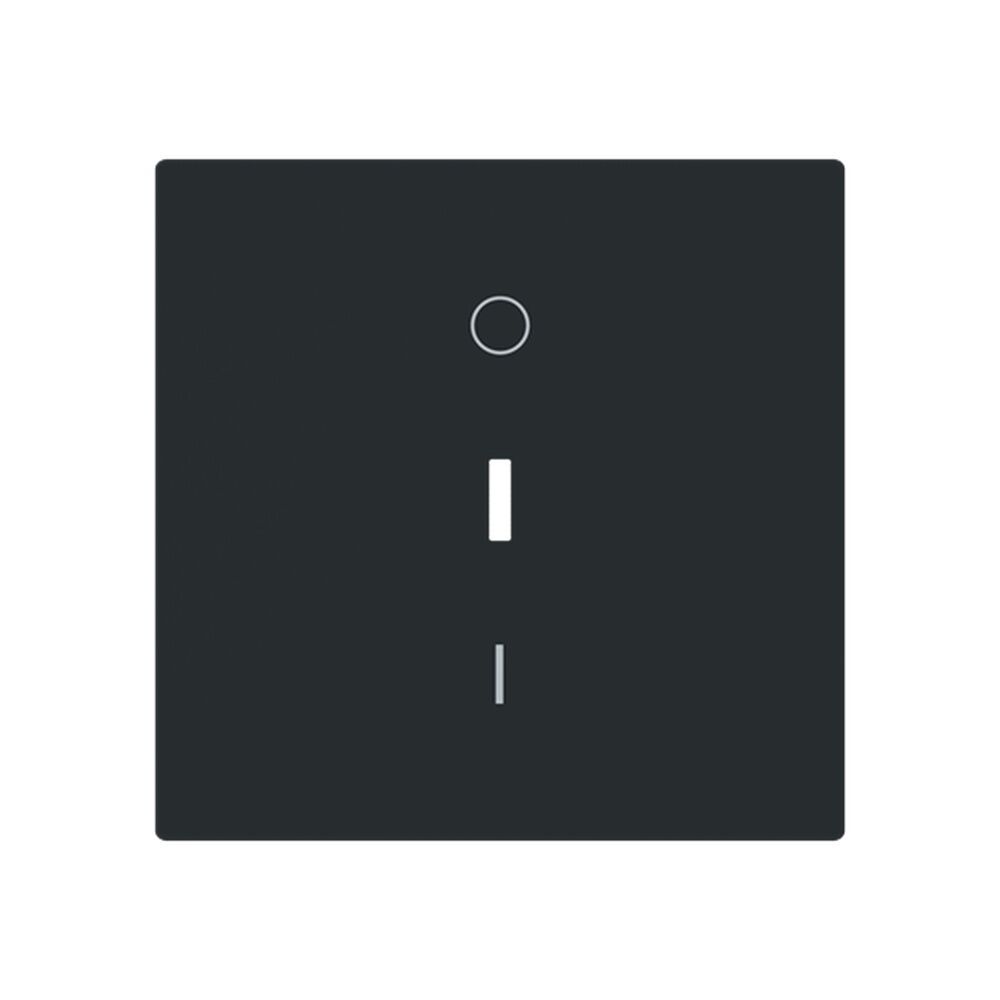 Busch-Jaeger Wippe 1788-45M Typ 2CKA001751A3356 