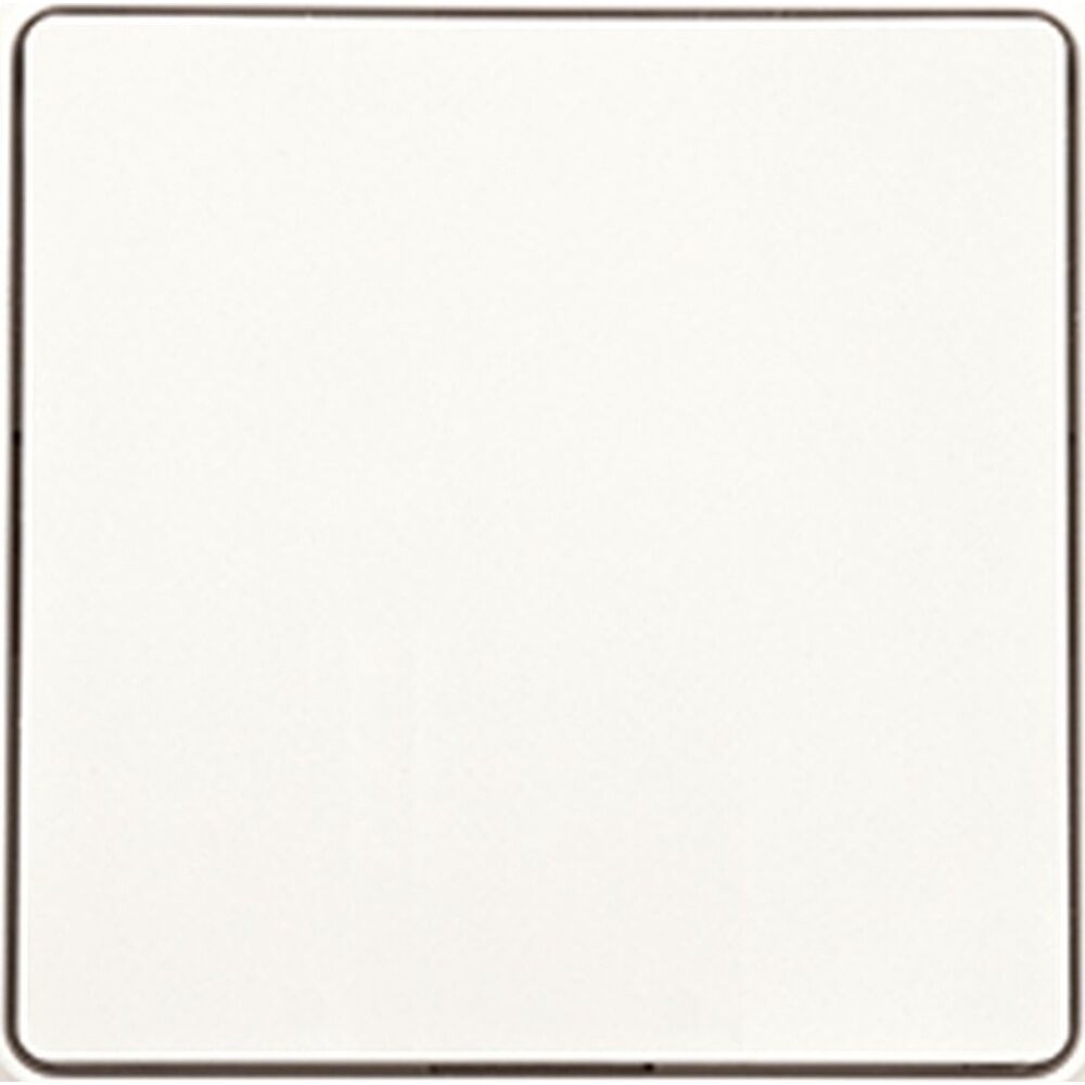 ELTAKO Funktaster 30056702 Typ F2T55EOR-pg