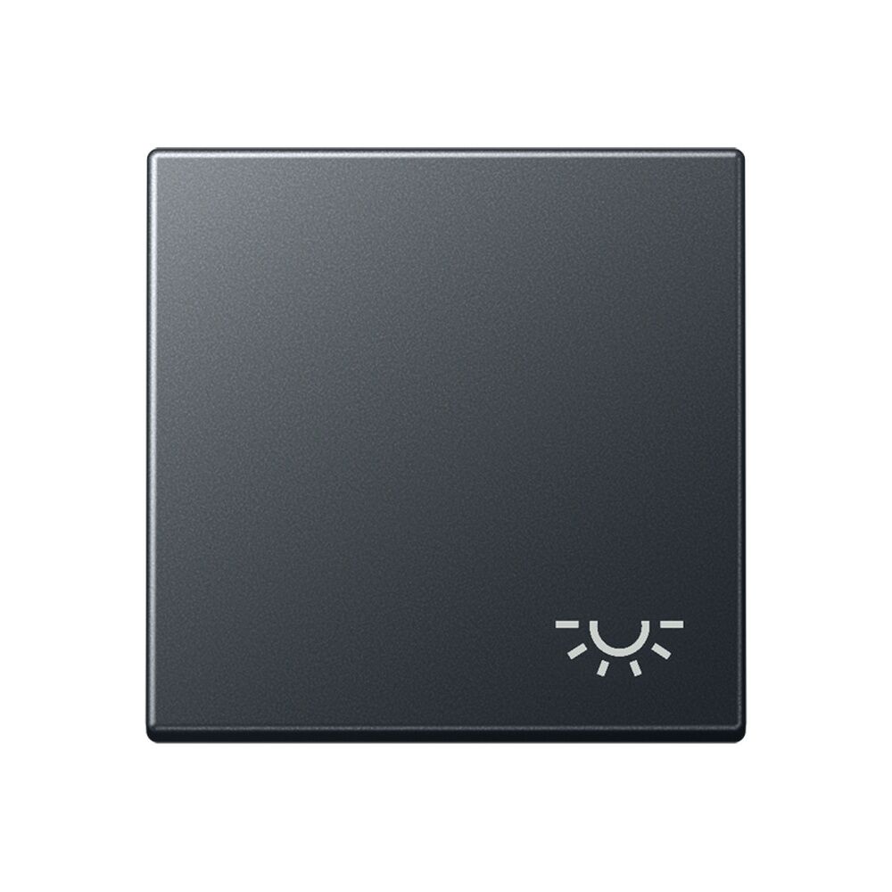 Jung Wippe A 590 BF L ANM 