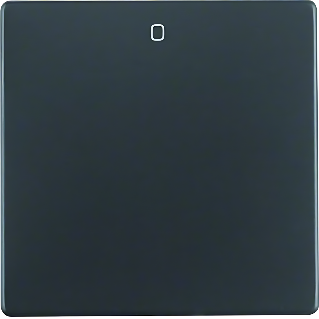 Berker Wippe 16226086 