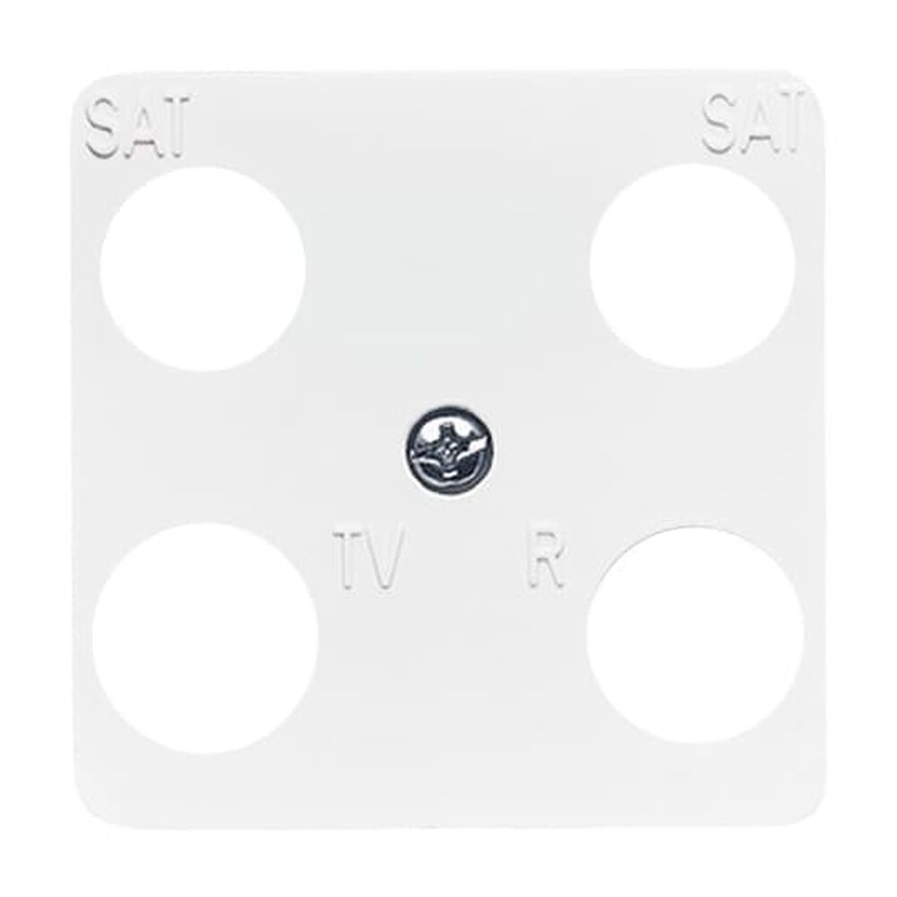 Busch-Jaeger Zentralscheibe 1743-04-214 Nr. 2CKA001753A8642