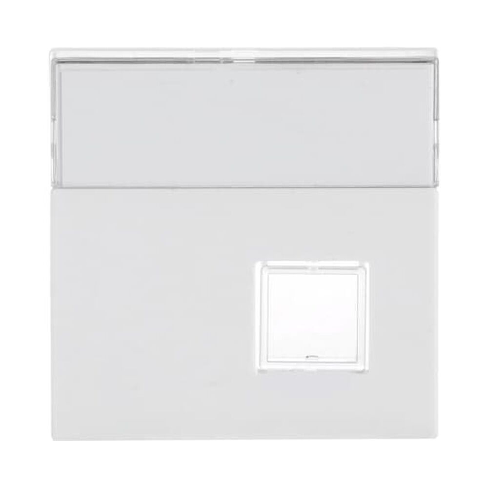 Busch-Jaeger Zentralscheibe 1571 CN-84 Nr. 2CKA001582A0346