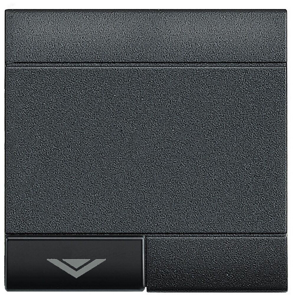 Bticino Wippe L4915M2ADN