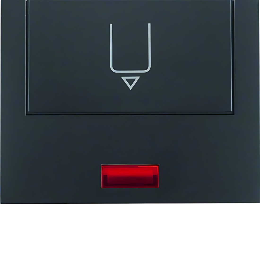 Berker Hotelcard Schaltaufsatz 16417106 