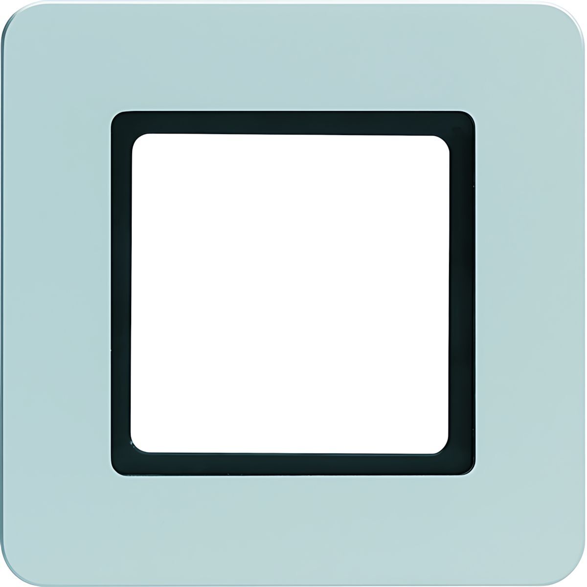 Berker Rahmen 1fach 10116104