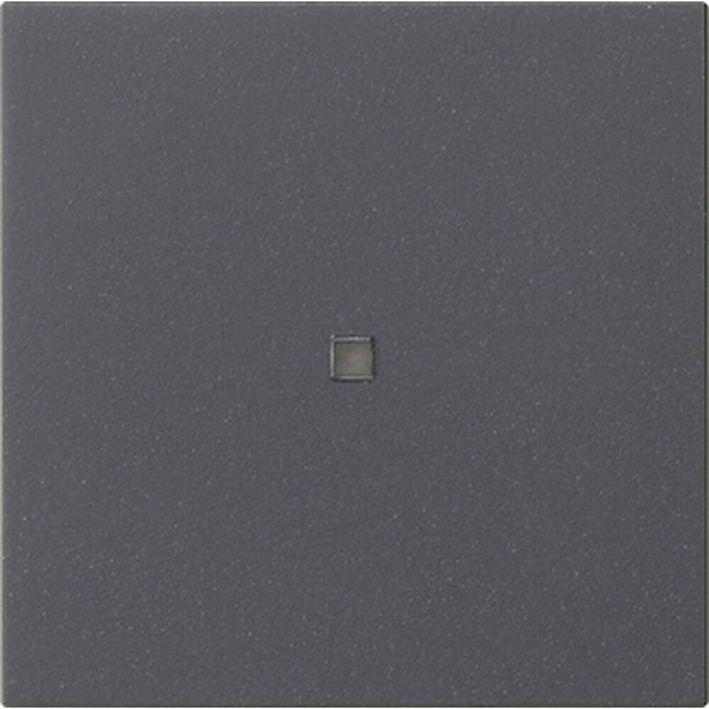 Gira Wippe 1fach 537128