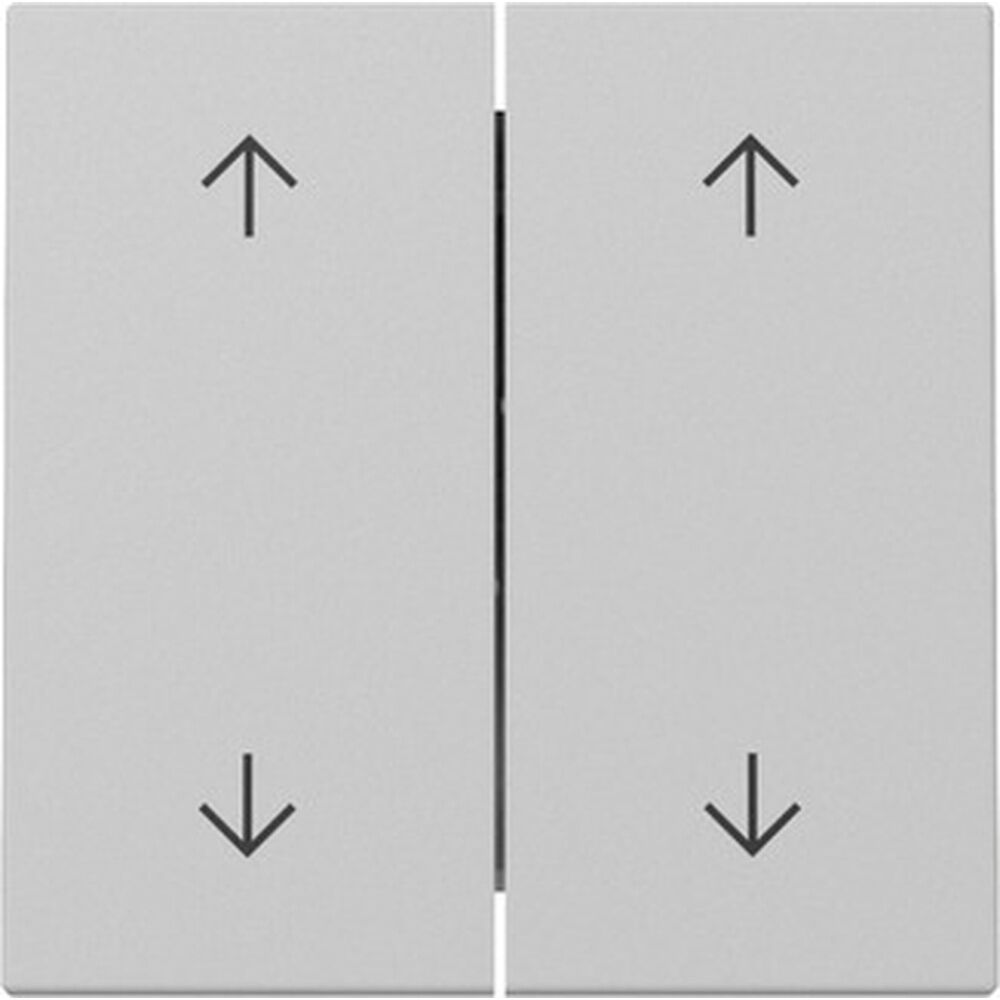 Gira Wippe 2fach 3297015