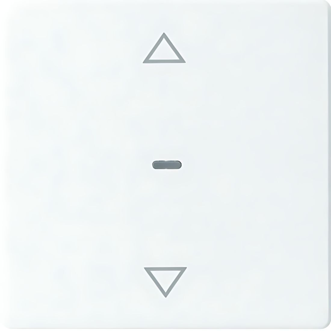 Berker Tastsensor Abdeckung 80961229