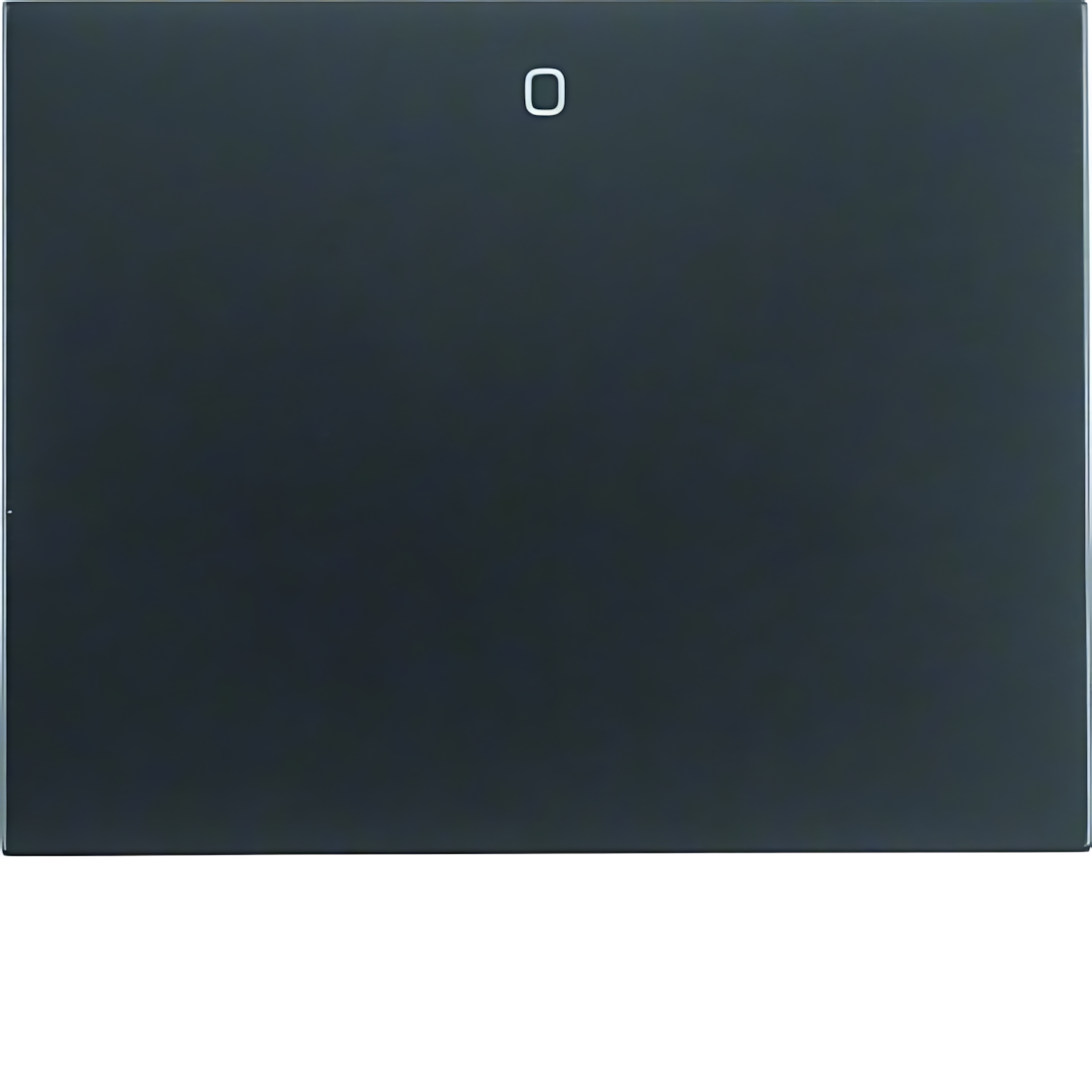 Berker Wippe 14257106 