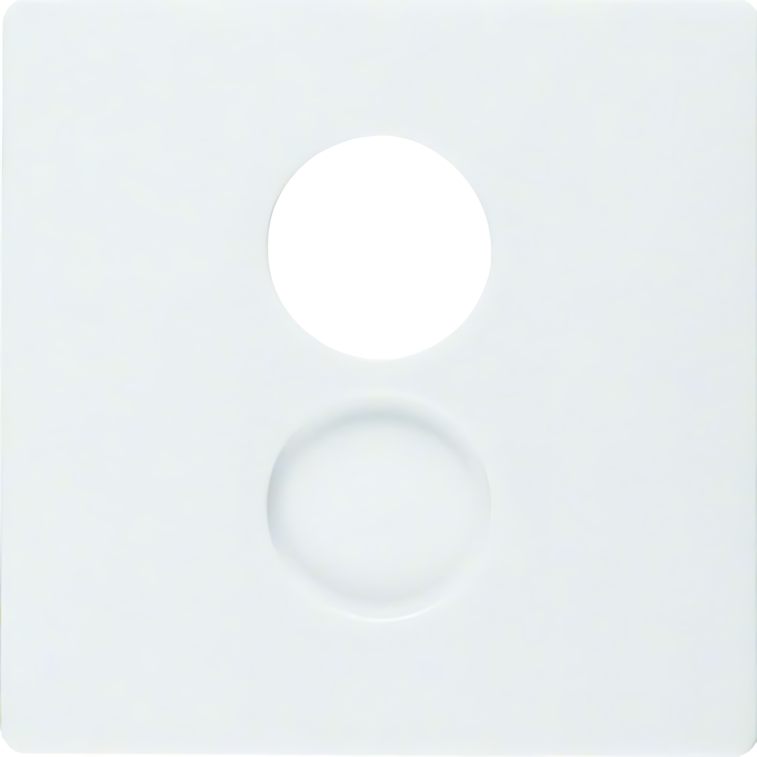 Berker Zentralstück 11966089 