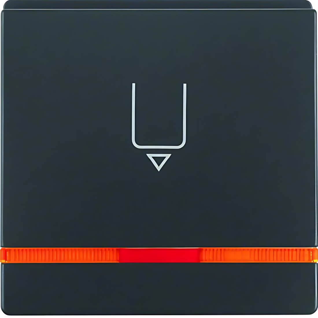 Berker Hotelcard Schaltaufsatz 16406086 