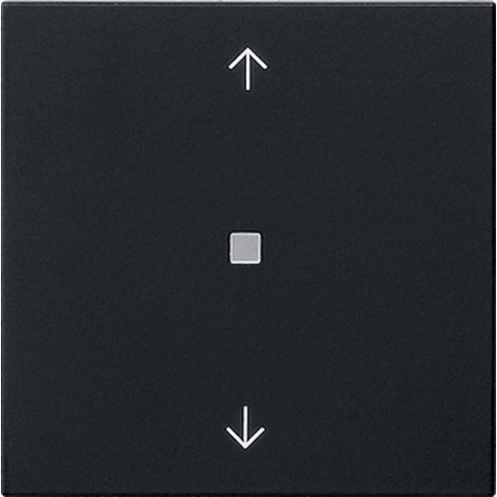 Gira Bedienaufsatz BT 5382005