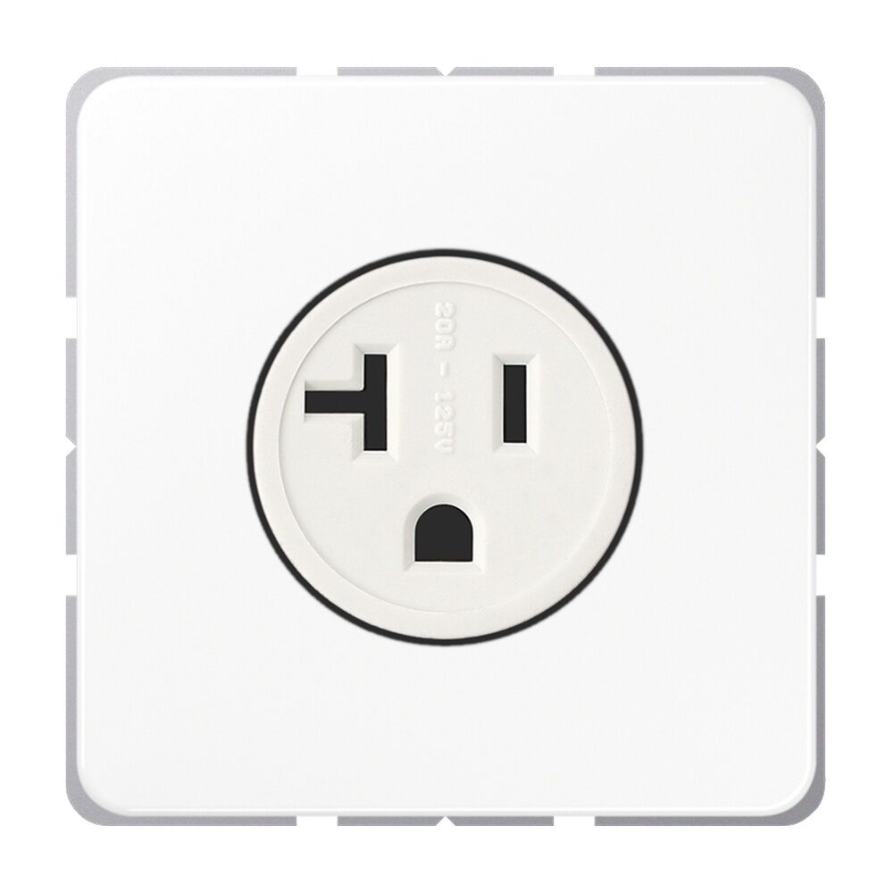 Jung Nema Steckdose CD 521-20 WW