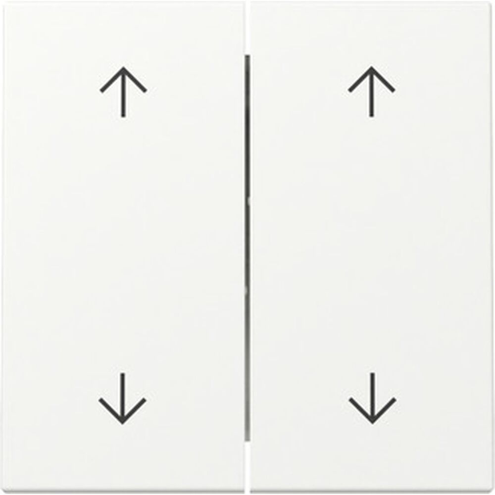 Gira Wippe 2fach 329727