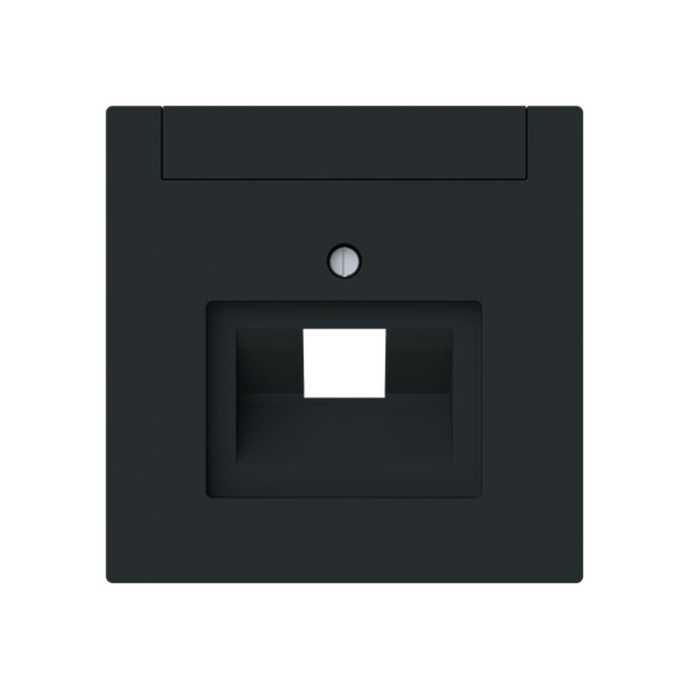 Busch-Jaeger Zentralscheibe 1803-45M Typ 2CKA001710A4222