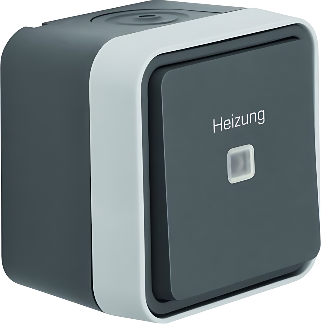 Berker Kontroll Wechselschalter 35663505 