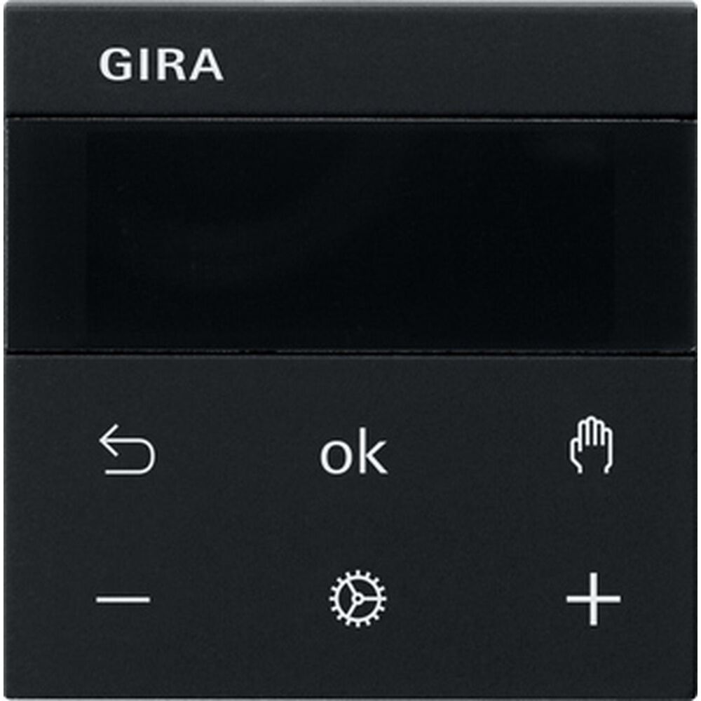 Gira Raumtemperaturregler Display 5393005