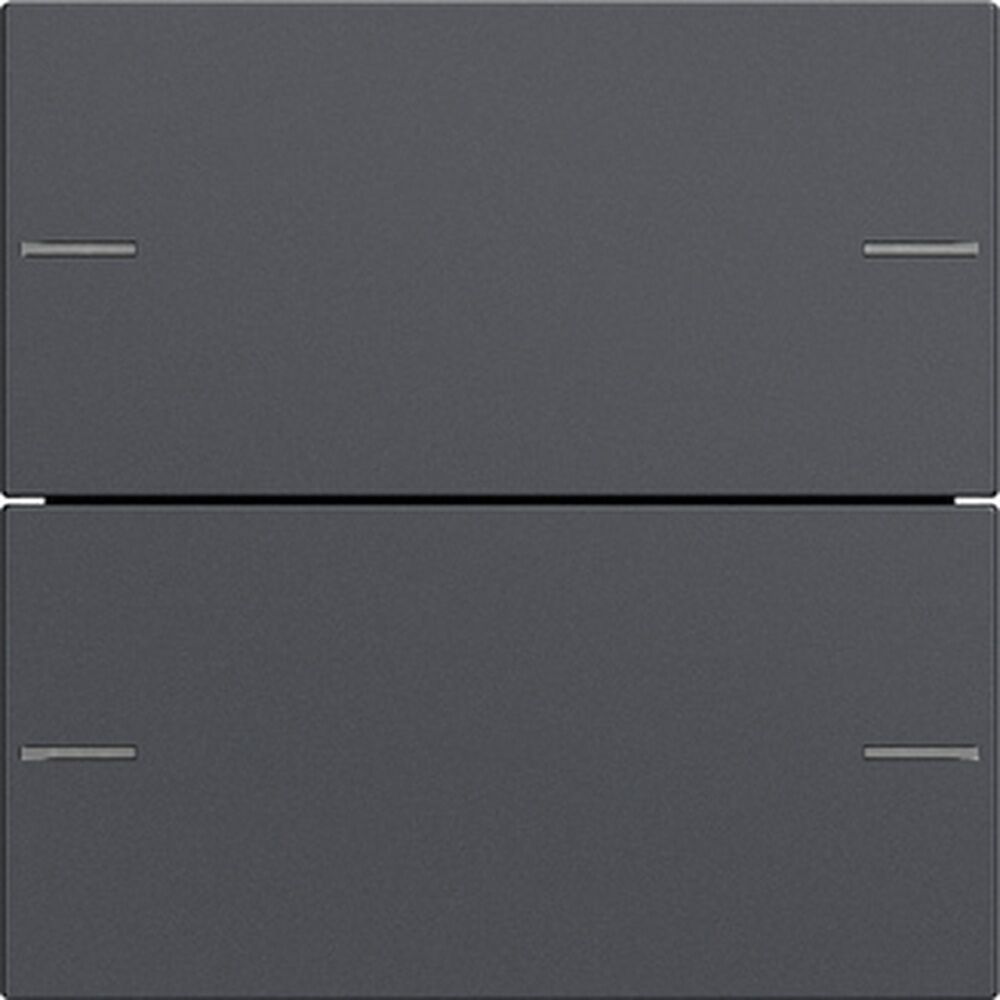 Gira Wippenset 2fach 575228