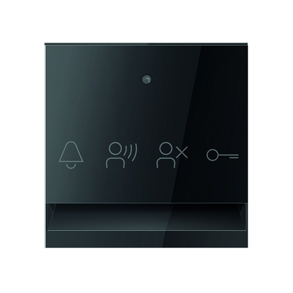 TCS Audio Außenstation E50606 