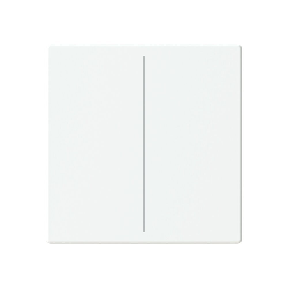 Busch-Jaeger Abdeckung  LFW/A.2.63.11-884 Typ 2CKA006199A0054