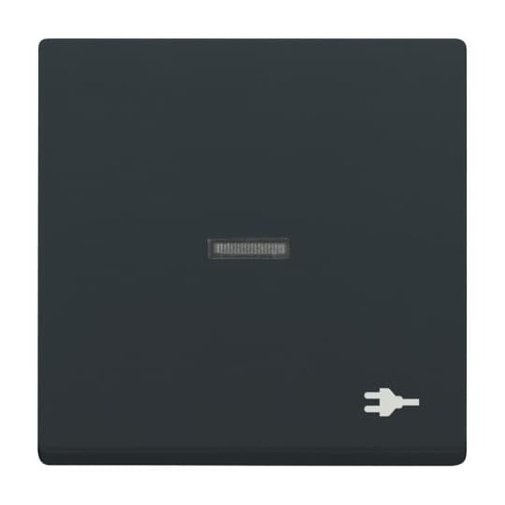 Busch-Jaeger Wippe 1789 ST-81 Nr. 2CKA001751A3157