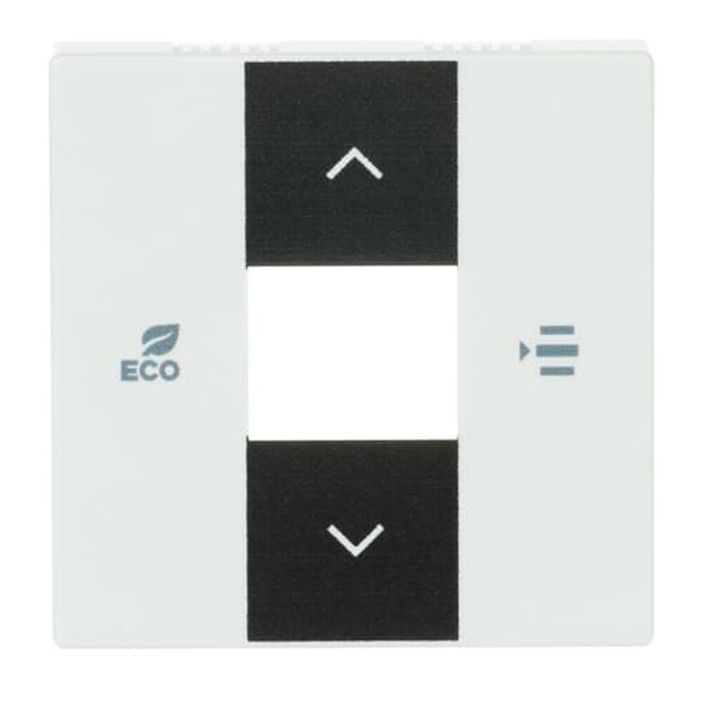 Busch-Jaeger Zentralscheibe 6236-84 Nr. 2CKA006220A0250