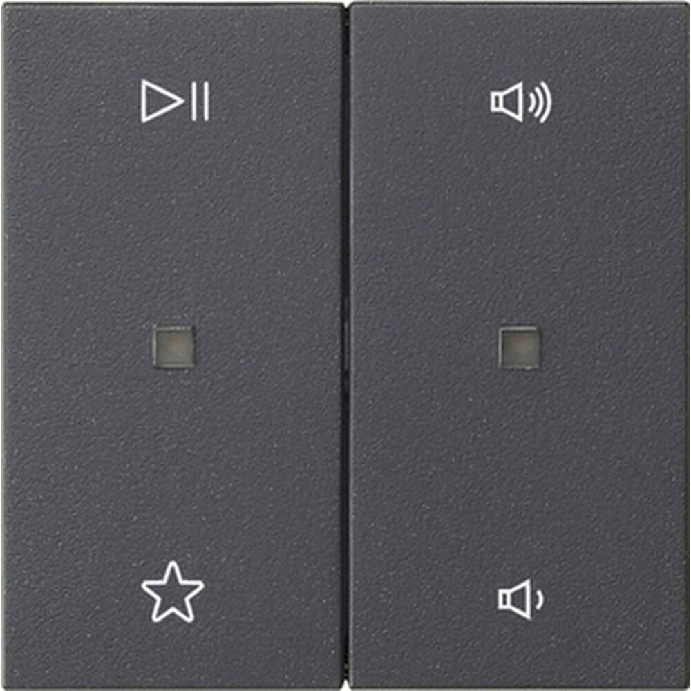 Gira Wippe 2fach 538428