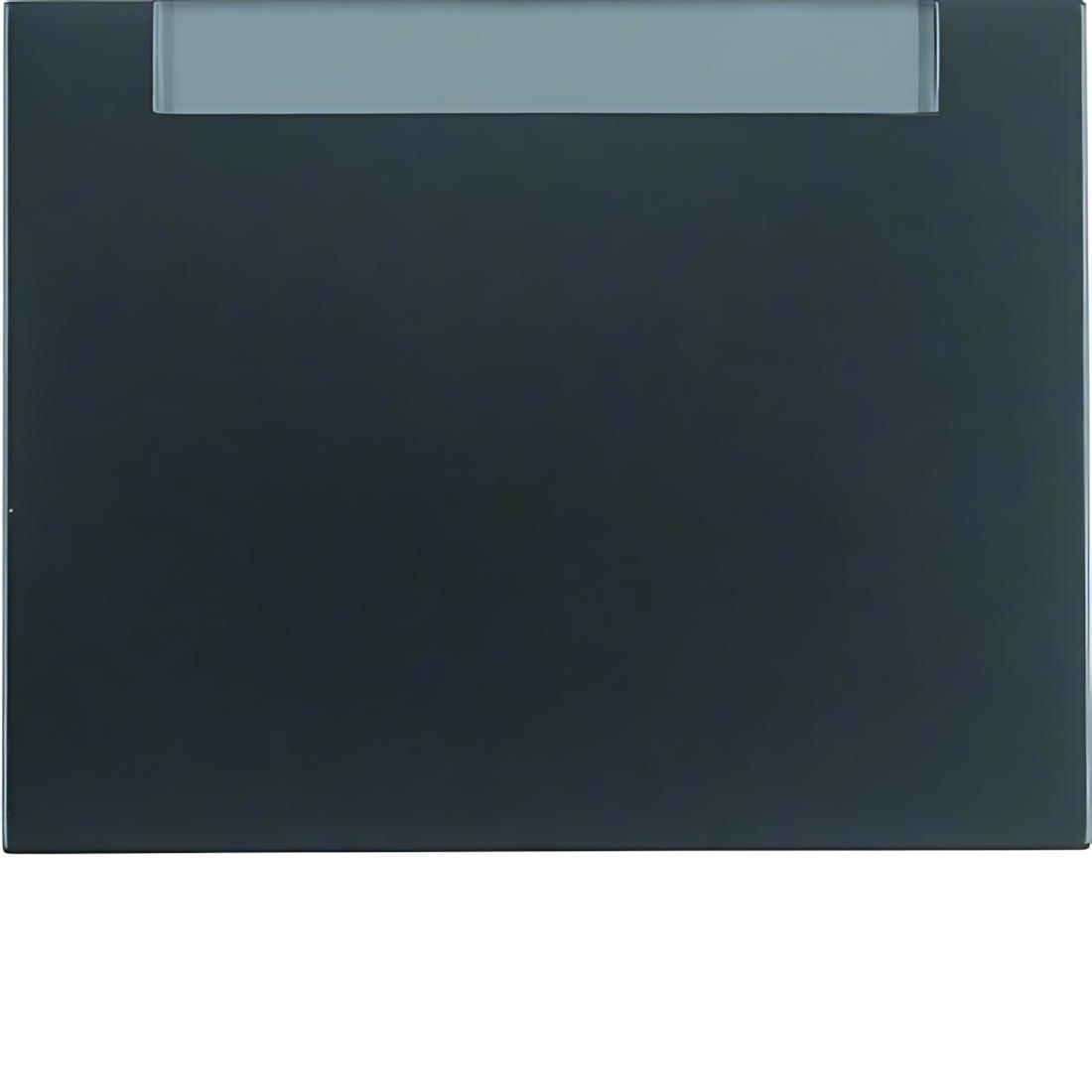 Berker Wippe 14267006 