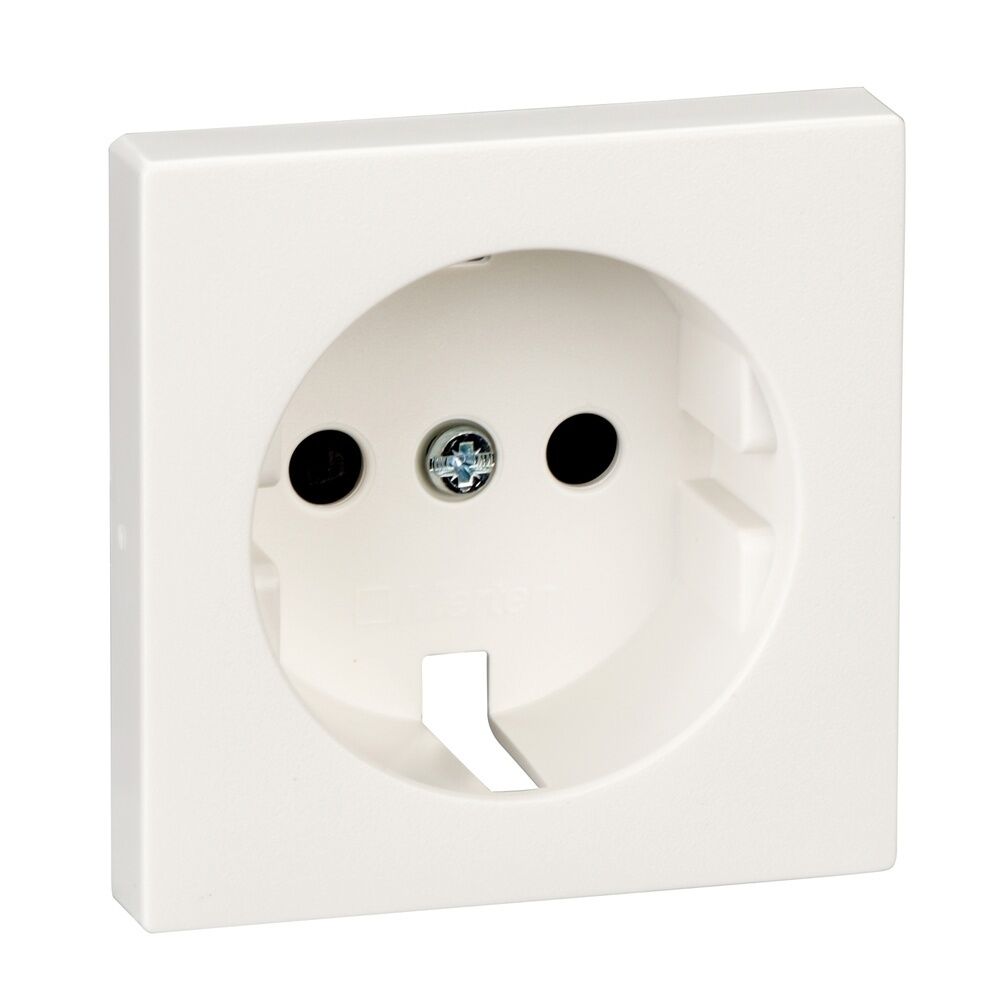 Merten Zentralplatte MEG2330-0419