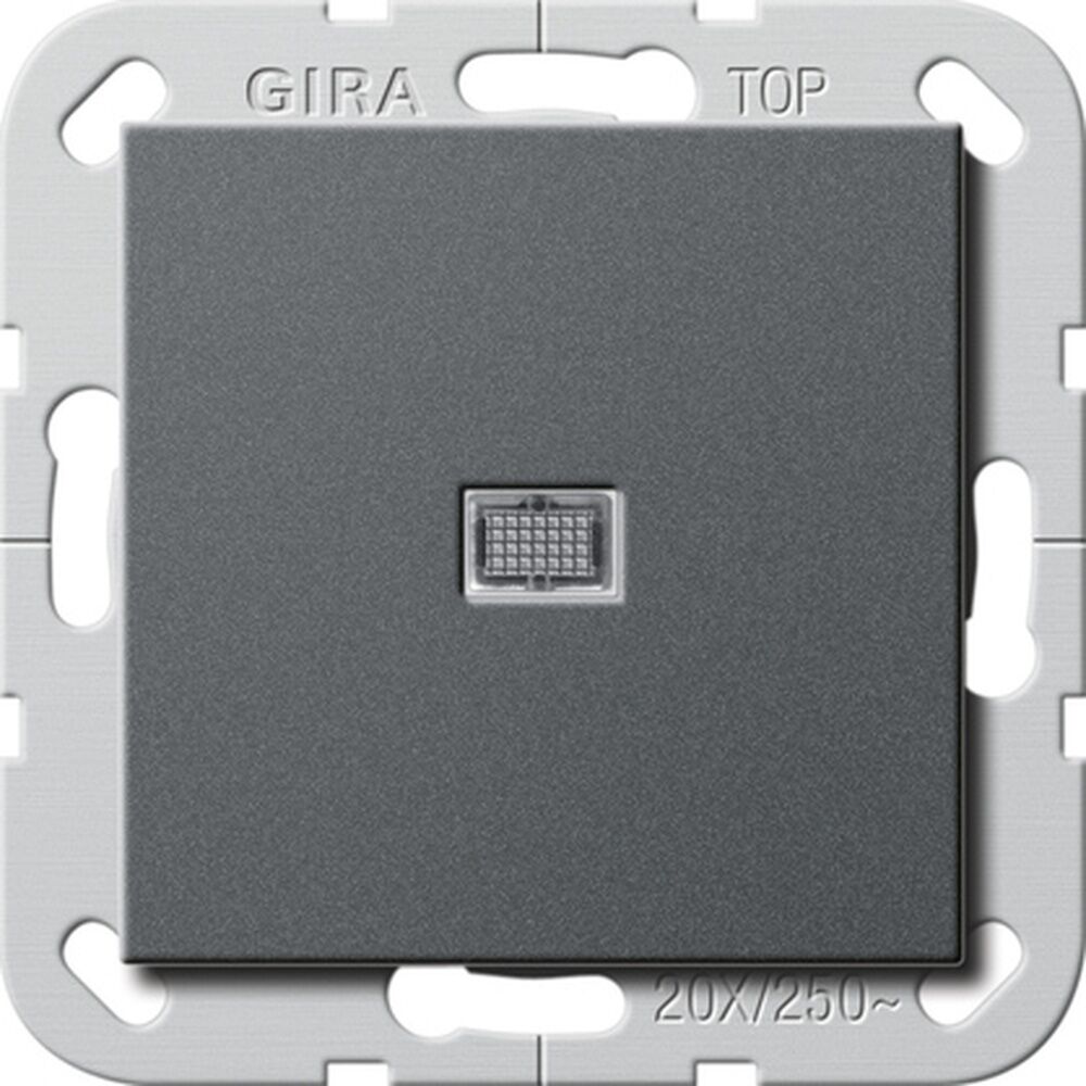 Gira Wippschalter 283428 