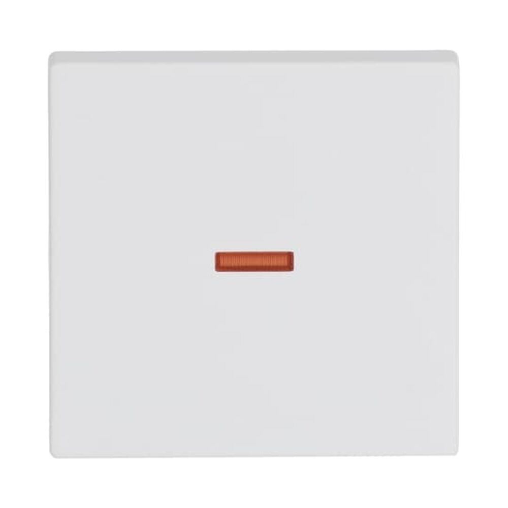 Busch-Jaeger Wippe 1789-884 Nr. 2CKA001751A3033 