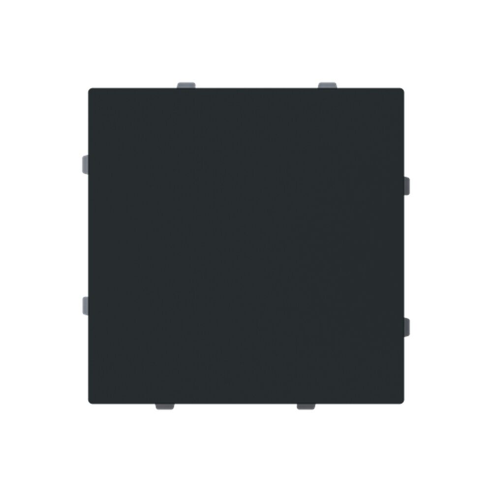 Busch-Jaeger Blindzentralscheibe 1742-45M Typ 2CKA001710A4214