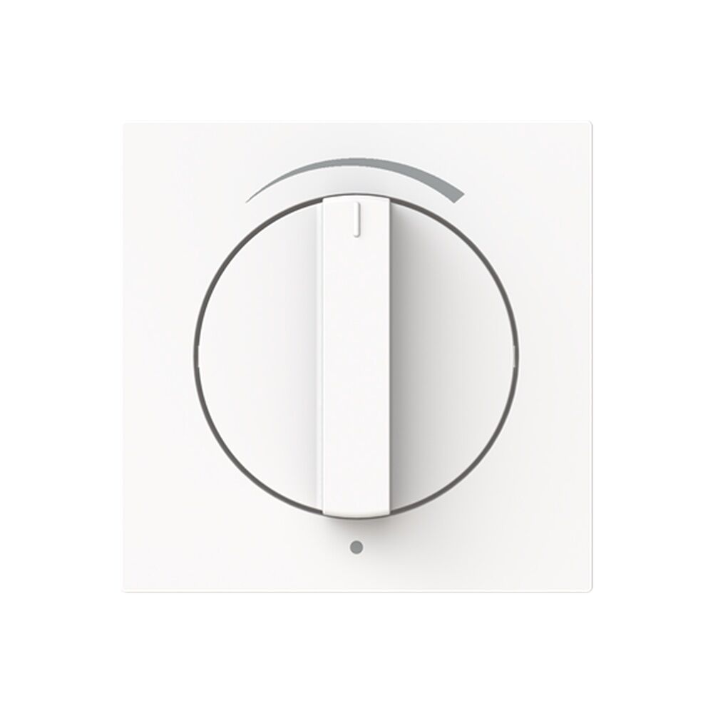 Busch-Jäger Zentralscheibe 1740 DR/03-44M Nr. 2CKA001710A4138