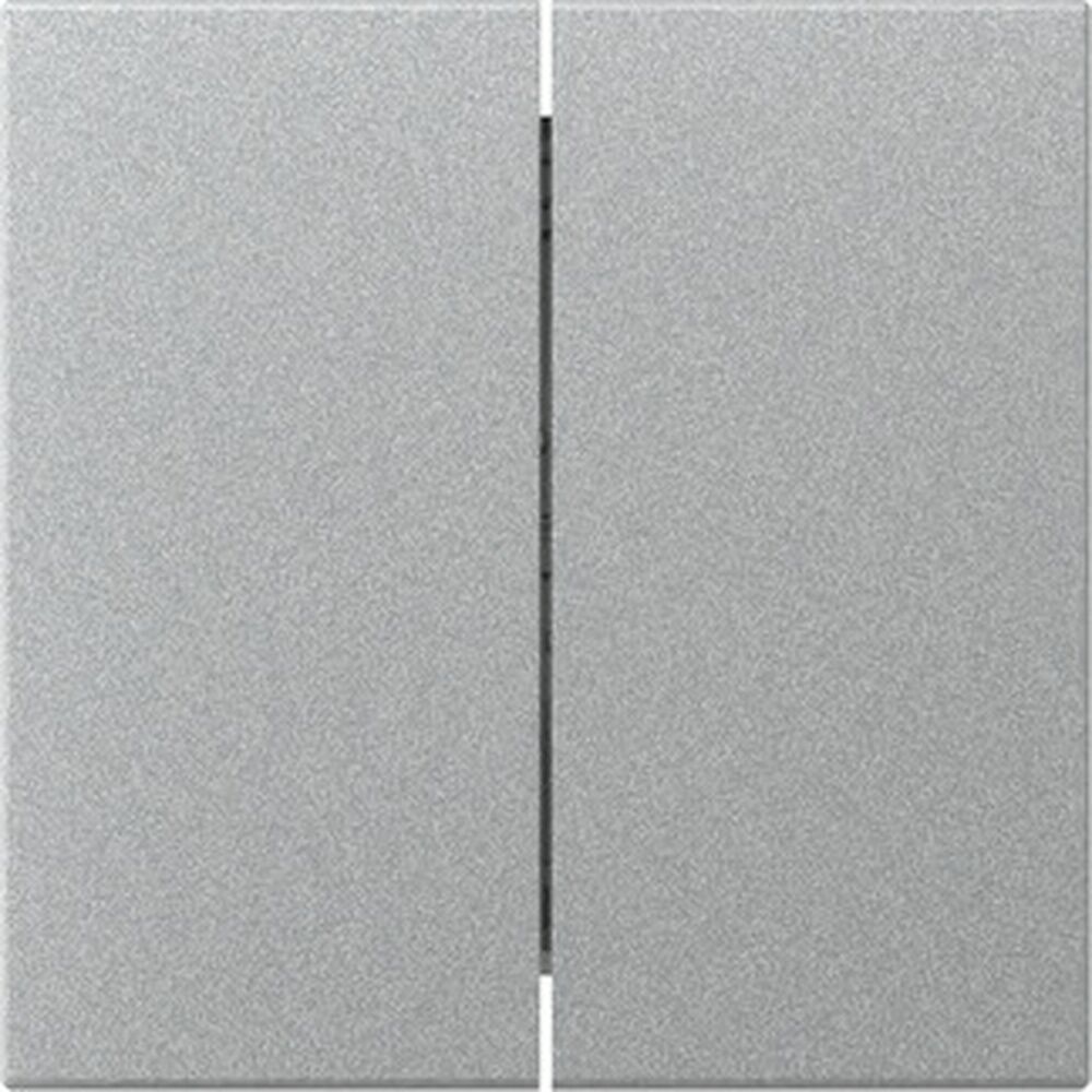 Gira Wippe 2fach 349526